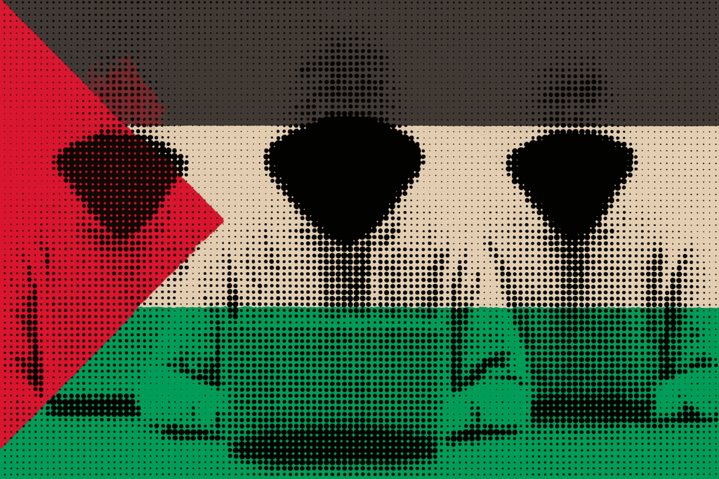 Halftone illustration of three hooded hackers sitting at laptops, overlaid with the Palestinian flag.